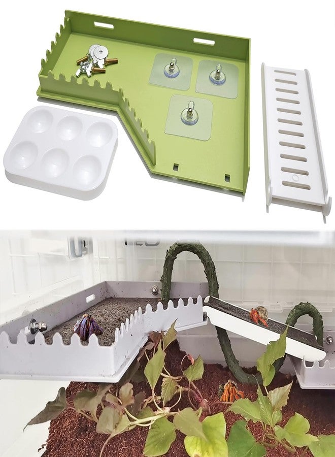 Anranmm Hermit Crab Accessories - Platform with Ladder and Food Dish, Hermit Crab Climbing Toys, Habitat Supplies and Tank Accessories for Reptiles, Hamsters, Geckos, Small Lizards - Image 1